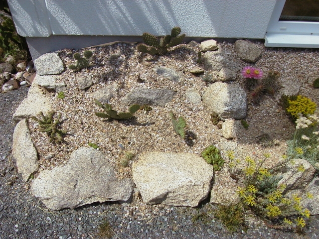 Juli 2003.JPG (347941 Byte)