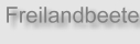 Freilandbeete.JPG (3366 Byte)