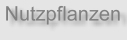 Nutzpflanzen.JPG (3347 Byte)