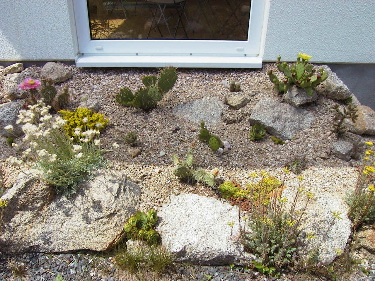 Juli 2003.jpg (598665 Byte)