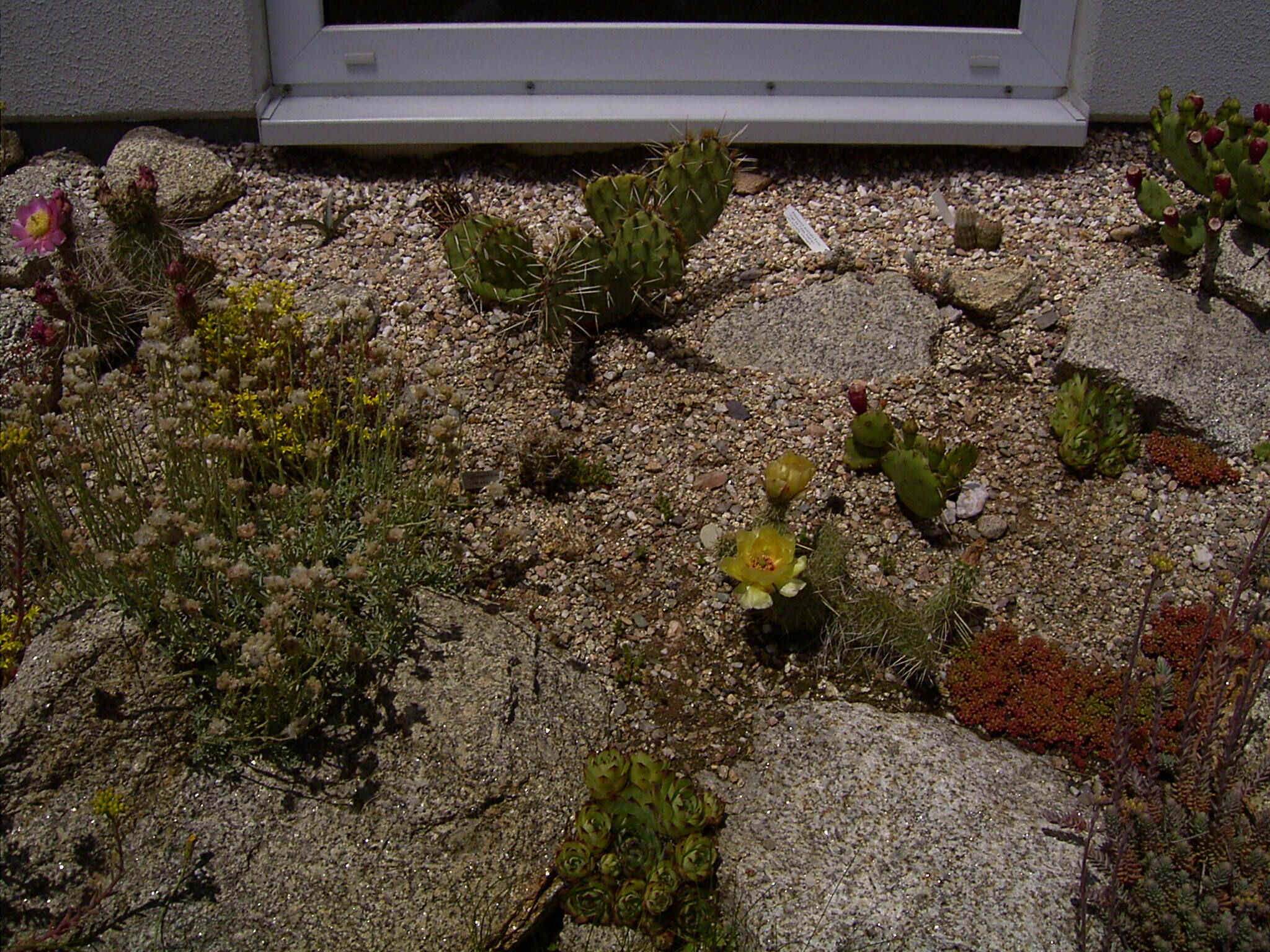 Juni 2004.jpg (734996 Byte)
