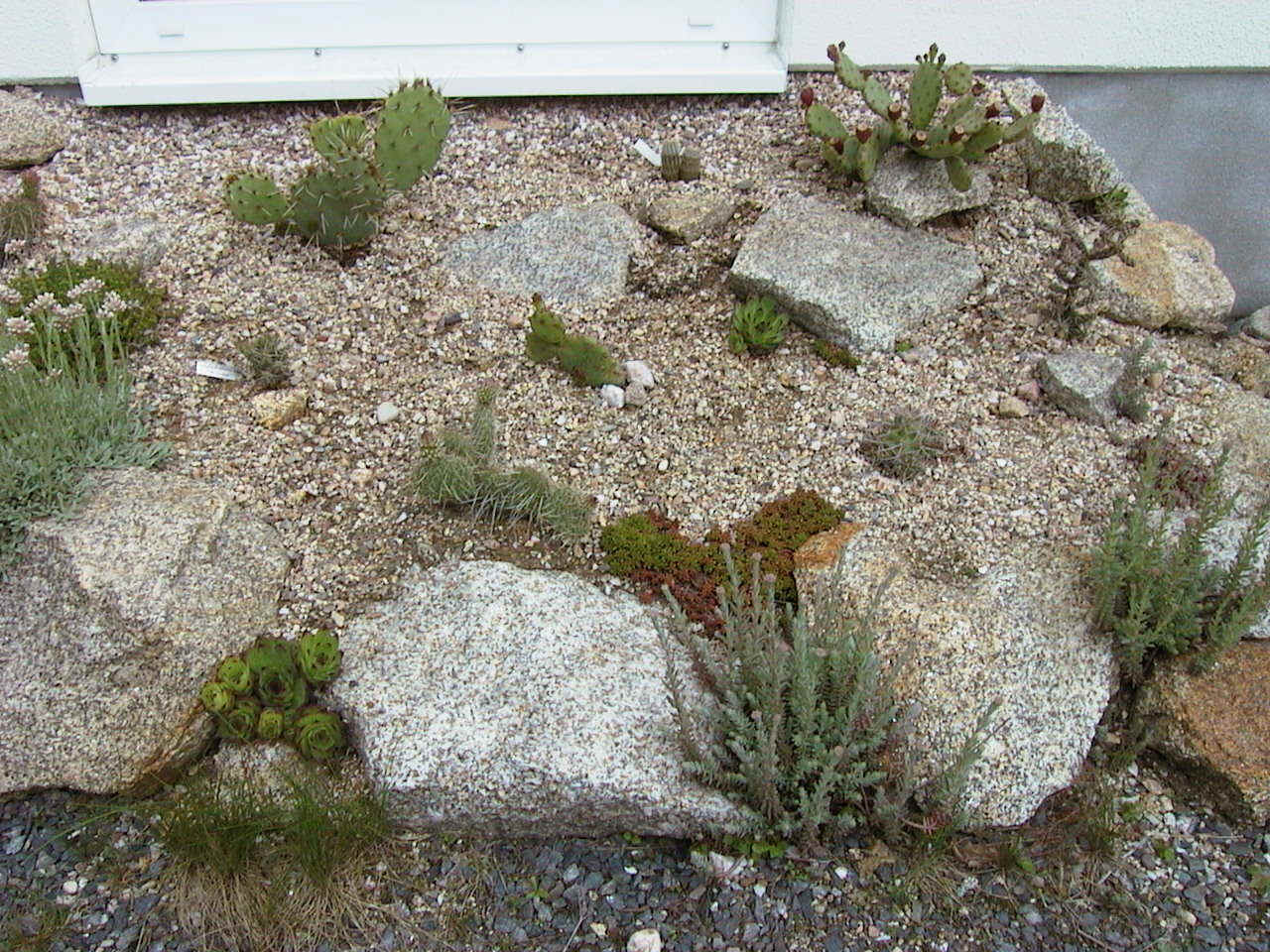 Mai 2003.JPG (263079 Byte)