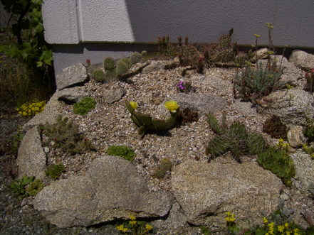 Juli_2005.JPG (55586 Byte)