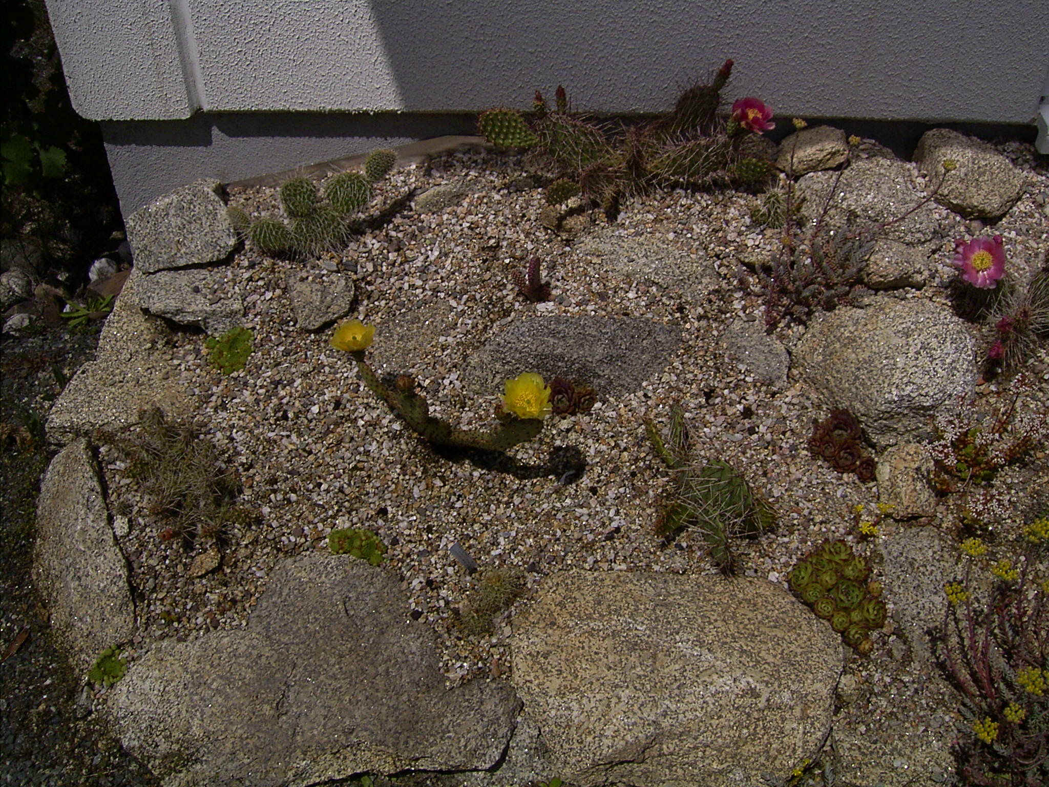 Juni 2004.JPG (802585 Byte)