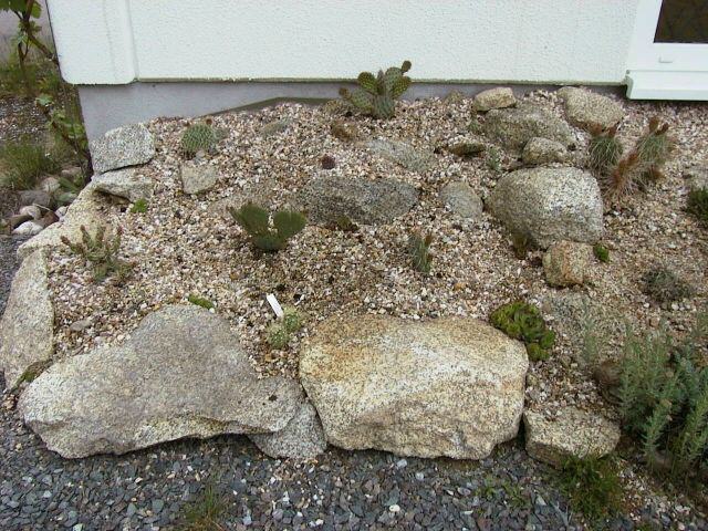 Mai 2003.JPG (254815 Byte)