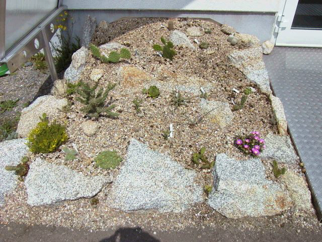 Juli_2003.jpg (105353 Byte)