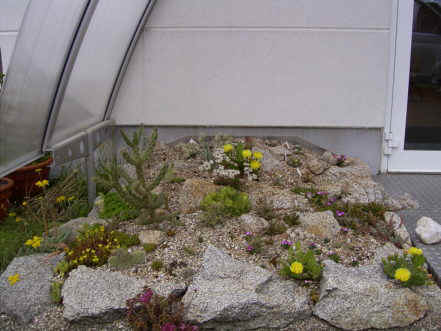 Juli_2005.JPG (46187 Byte)