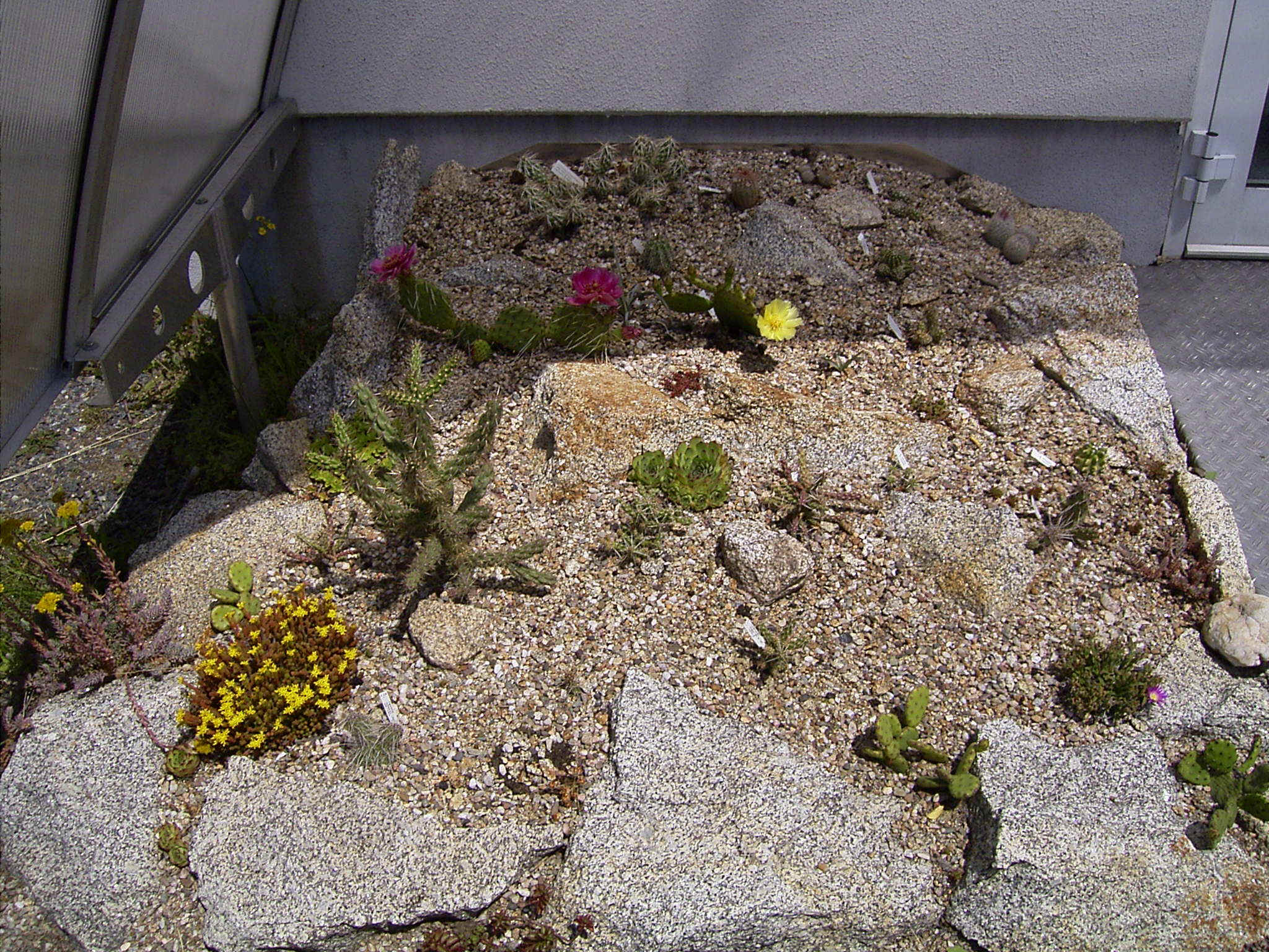 Juni 2004.jpg (899968 Byte)