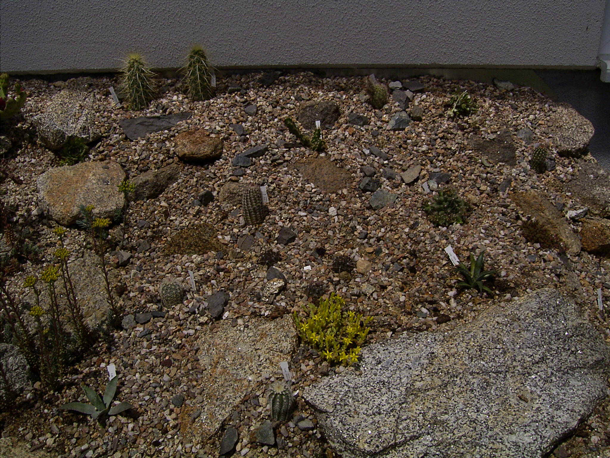 Juni 2004.JPG (798636 Byte)